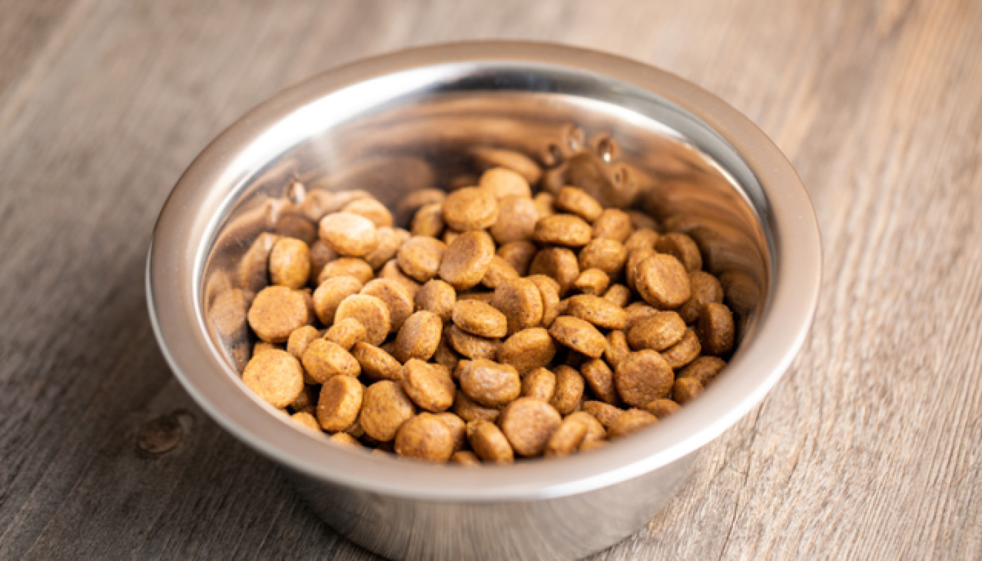 Comment choisir des croquettes pour chat stérilisé ?